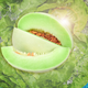 Illustration for article titled Honeydew Salad redeems nature’s most mediocre melon